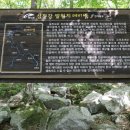 백운면 벚꽃길 이미지