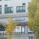 독일소리보청기