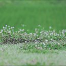 홍연농장 이미지