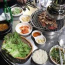 고기좋은친구들 이미지