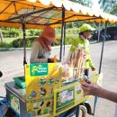 120-1-000017 | 태국 프라임CC 예약 사무소 / 요금 안내 /영원투어 고객 실사 후기 공유 + 후기 동영상 공유