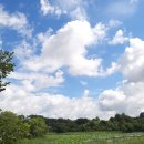 신창동1173 이미지