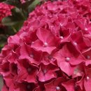 국도 세탁소 이미지