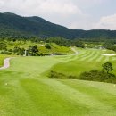 아도니스 이미지