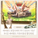 자유랜드 | 에버랜드 워킹사파리 후기 유모차 B시즌 에버랜드 자유이용권 할인