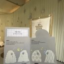 29 하우스 | 성수동팝업 29 눕하우스 후기｜직접 누워보고 이불 고르는 팝업, 침구 취향 바로 찾았어요