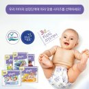 벨라플로르 이미지