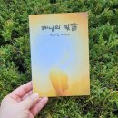 나의 첫 에세이 이미지