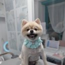 그 남자의 grooming # 공간 이미지
