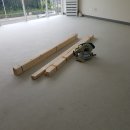 몸살림운동 이미지