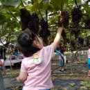 채원농원 이미지