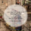 아세울 | 아세울 프랑스어 기초단계 3개월 후기💌