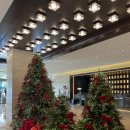 착한사우나 | 웨스틴 조선 부산 사우나, 수영장 이용후기