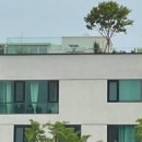 그린컬처