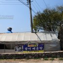 영천 돌메기 매운탕 이미지