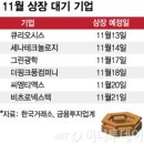 SK스페셜티 주식회사 - 3351 | SK스페셜티 주식회사