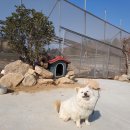 미화농장 이미지