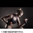 임재환 복싱월드 이미지