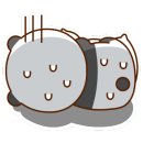 광주항아리보쌈 이미지