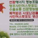법인썬팜
