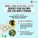 참조은사과농장
