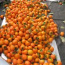 아침향기펜션 이미지