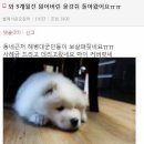 와야짐