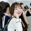 율 이미지