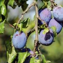 비타민모텔 이미지