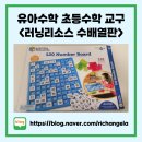 초등가베 | [유아수학 초등수학 교구] 러닝리소스 수배열판 120 Number Board, 가베가족 안녕 120수배열판 후기