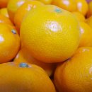 현승농장 이미지