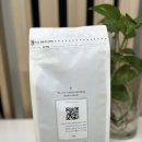 빈스먼스(BeansMonth) 티스토리