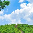 백자마을(양구백토힐링체험센터) 이미지