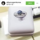 알리앙스젬