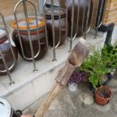 늘푸른소아과의원 이미지