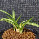 진성산전 이미지