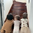 아델 오 이미지