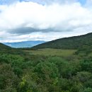 대암약국 이미지