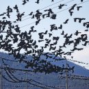 준요양병원 이미지