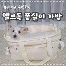엘르독 | 엘르독 퐁실이가방 반려견이동가방 내돈내산 솔직후기