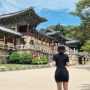 중부-현장-중부-1078 | 2024.05(경주-포항)