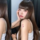 프리지아 이미지