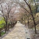 호수공원수변공원 이미지