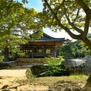 보길도 윤선도 원림 이미지