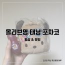 애플광고기획 | [일상&amp;뷰티] 포차코에 미친자! 올리브영 산리오 태닝 포차코 제품 후기