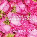 코코로즈 네이버블로그