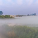 안서목장 이미지