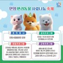 2025 안양 반려동물 사랑나눔 축제 총정리｜설채현쌤 토크부터 평촌중앙공원 체험 부스까지!