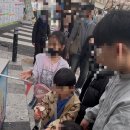 웅동마을 | [경남창원]57년만에 개방한 실시간 웅동수원지 벚꽃단지🌸 숨겨진 벚꽃명소 아이들과 가볼만한곳 데이트...