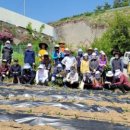 제천북로 이미지